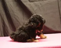 processed/36180fa9-48bf-43b5-bd6c-12d254bd4cc7/listing/509393b4-3d43-4014-a27a-5c0a00fb855c/f732d4e5-f5f4-4dee-a9c4-49dc48bf2cac