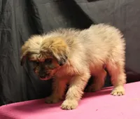 processed/36180fa9-48bf-43b5-bd6c-12d254bd4cc7/listing/5879f579-aec6-452a-bfd3-b6da78a943db/48cd1a9d-28f3-41e6-98c2-414f633a45e2