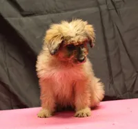 processed/36180fa9-48bf-43b5-bd6c-12d254bd4cc7/listing/5879f579-aec6-452a-bfd3-b6da78a943db/739239fc-27f3-4941-b976-1321e30ddd88