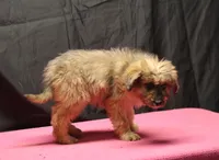 processed/36180fa9-48bf-43b5-bd6c-12d254bd4cc7/listing/5879f579-aec6-452a-bfd3-b6da78a943db/903053c2-bbf0-4e12-8545-f54cb08d0534