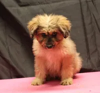 processed/36180fa9-48bf-43b5-bd6c-12d254bd4cc7/listing/5879f579-aec6-452a-bfd3-b6da78a943db/97abea58-1128-4648-9aee-a66184b5353b