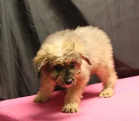 processed/36180fa9-48bf-43b5-bd6c-12d254bd4cc7/listing/5879f579-aec6-452a-bfd3-b6da78a943db/991aa024-1528-4cfc-be7e-731a5e9389b1