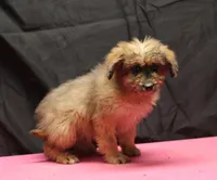 processed/36180fa9-48bf-43b5-bd6c-12d254bd4cc7/listing/5879f579-aec6-452a-bfd3-b6da78a943db/efd875f0-801b-409f-b63a-edbaa1c51941