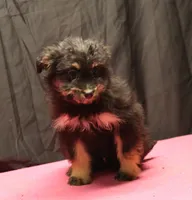 processed/36180fa9-48bf-43b5-bd6c-12d254bd4cc7/listing/5e55a8d9-1d8f-4155-b941-4fbd782f9743/1a3ce212-2591-4ffd-943a-3efabe06c979