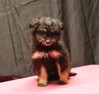 processed/36180fa9-48bf-43b5-bd6c-12d254bd4cc7/listing/5e55a8d9-1d8f-4155-b941-4fbd782f9743/6d1896c5-b5e8-48ed-b96d-636af39fac8d