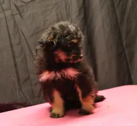 processed/36180fa9-48bf-43b5-bd6c-12d254bd4cc7/listing/5e55a8d9-1d8f-4155-b941-4fbd782f9743/797bb3b4-dd08-4da8-834f-9cd8627f6ace