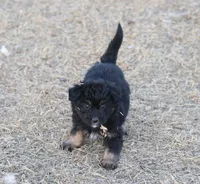 processed/36180fa9-48bf-43b5-bd6c-12d254bd4cc7/listing/5e55a8d9-1d8f-4155-b941-4fbd782f9743/a150a7dc-c8a8-4985-a186-1a8fe30ced33