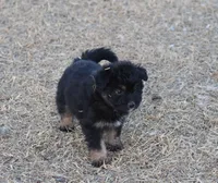 processed/36180fa9-48bf-43b5-bd6c-12d254bd4cc7/listing/5e55a8d9-1d8f-4155-b941-4fbd782f9743/ac36cecd-543e-43a4-bfff-b5a67ee34f80