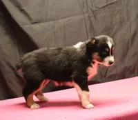 processed/36180fa9-48bf-43b5-bd6c-12d254bd4cc7/listing/7ccb063a-8610-46f4-b31a-eeaaa299d838/5bf59140-fe83-48b7-9b55-d72194dcd2e1