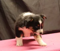 processed/36180fa9-48bf-43b5-bd6c-12d254bd4cc7/listing/7ccb063a-8610-46f4-b31a-eeaaa299d838/7ccf644a-4300-4f6c-991e-3510830729a1