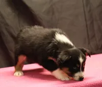 processed/36180fa9-48bf-43b5-bd6c-12d254bd4cc7/listing/7ccb063a-8610-46f4-b31a-eeaaa299d838/81950f8c-dcf1-4e00-8478-544ab17ef27a