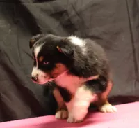 processed/36180fa9-48bf-43b5-bd6c-12d254bd4cc7/listing/7ccb063a-8610-46f4-b31a-eeaaa299d838/8b973124-f790-4c42-8eec-fdf50c14d67a