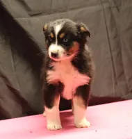 processed/36180fa9-48bf-43b5-bd6c-12d254bd4cc7/listing/7ccb063a-8610-46f4-b31a-eeaaa299d838/97e29d25-071d-4360-ab5f-1dce517225d7