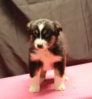 processed/36180fa9-48bf-43b5-bd6c-12d254bd4cc7/listing/7ccb063a-8610-46f4-b31a-eeaaa299d838/c9dd6526-5657-4651-be49-e46414c528db