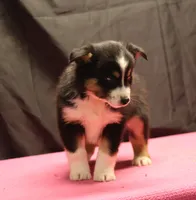 processed/36180fa9-48bf-43b5-bd6c-12d254bd4cc7/listing/7ccb063a-8610-46f4-b31a-eeaaa299d838/d830cee2-d2f0-47a3-bc68-8a87a245ce38