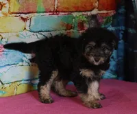 processed/36180fa9-48bf-43b5-bd6c-12d254bd4cc7/listing/8f568833-ea06-4ae1-ac42-00be2680c032/58e16e31-890c-40e6-90c5-25a11a79f7c4