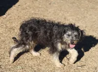 processed/36180fa9-48bf-43b5-bd6c-12d254bd4cc7/listing/8f568833-ea06-4ae1-ac42-00be2680c032/7d676516-9e7a-446f-80d0-d85d7b44c7b4