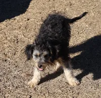 processed/36180fa9-48bf-43b5-bd6c-12d254bd4cc7/listing/8f568833-ea06-4ae1-ac42-00be2680c032/86f67799-f501-4338-b83e-658c83d09b3f