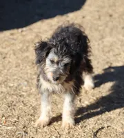 processed/36180fa9-48bf-43b5-bd6c-12d254bd4cc7/listing/8f568833-ea06-4ae1-ac42-00be2680c032/9f27c329-31c3-4fbb-a12a-f6cc9364894f