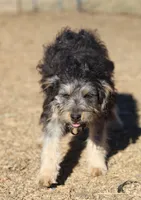 processed/36180fa9-48bf-43b5-bd6c-12d254bd4cc7/listing/8f568833-ea06-4ae1-ac42-00be2680c032/b3e9b2f8-a3fe-4ea9-ae11-183479304e86