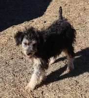 processed/36180fa9-48bf-43b5-bd6c-12d254bd4cc7/listing/8f568833-ea06-4ae1-ac42-00be2680c032/d4d8541d-fed7-44f1-a7af-6fff9670053b