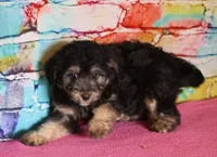 processed/36180fa9-48bf-43b5-bd6c-12d254bd4cc7/listing/8f568833-ea06-4ae1-ac42-00be2680c032/e334ac38-b44d-4eca-8ece-b1476e3d7103