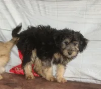 processed/36180fa9-48bf-43b5-bd6c-12d254bd4cc7/listing/8f568833-ea06-4ae1-ac42-00be2680c032/e76faaab-3cb0-477a-8217-8fc88ce7b297