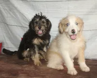 processed/36180fa9-48bf-43b5-bd6c-12d254bd4cc7/listing/8f568833-ea06-4ae1-ac42-00be2680c032/f91511c0-162b-437e-9075-8611a2c85d2b