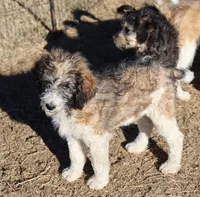 processed/36180fa9-48bf-43b5-bd6c-12d254bd4cc7/listing/96fe1f6f-becd-4d2a-a7c7-89a8d85c92f8/36126bbe-f11f-4080-9352-4c72ccf1e65e