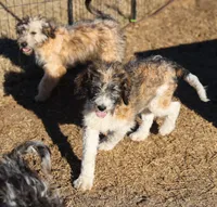 processed/36180fa9-48bf-43b5-bd6c-12d254bd4cc7/listing/96fe1f6f-becd-4d2a-a7c7-89a8d85c92f8/7767ad85-43f6-48ff-bf3b-2fcfaacb802b