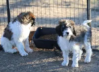 processed/36180fa9-48bf-43b5-bd6c-12d254bd4cc7/listing/96fe1f6f-becd-4d2a-a7c7-89a8d85c92f8/c83bef2f-a857-4532-ba2a-02d405c625da