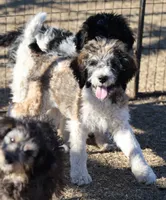 processed/36180fa9-48bf-43b5-bd6c-12d254bd4cc7/listing/96fe1f6f-becd-4d2a-a7c7-89a8d85c92f8/cf51a4ae-53ff-41e8-bddb-90f08cea9927