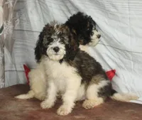 processed/36180fa9-48bf-43b5-bd6c-12d254bd4cc7/listing/96fe1f6f-becd-4d2a-a7c7-89a8d85c92f8/e2333cb7-ffdd-4a2f-aa97-b837ea5d16e8