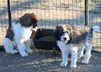 processed/36180fa9-48bf-43b5-bd6c-12d254bd4cc7/listing/96fe1f6f-becd-4d2a-a7c7-89a8d85c92f8/f245fda9-f9e5-49a7-8410-2a4bb5134dbc