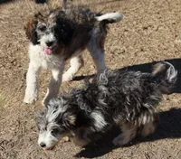 processed/36180fa9-48bf-43b5-bd6c-12d254bd4cc7/listing/96fe1f6f-becd-4d2a-a7c7-89a8d85c92f8/f992aaf4-aad4-4d08-adc2-c67698e63af5