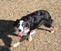 processed/36180fa9-48bf-43b5-bd6c-12d254bd4cc7/listing/9d3d7f86-9006-42d2-97da-738b453db81b/0d0bdb89-5cb5-4e5b-8016-5b073956a92b