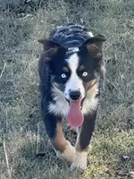 processed/36180fa9-48bf-43b5-bd6c-12d254bd4cc7/listing/9d3d7f86-9006-42d2-97da-738b453db81b/175598c7-368e-4bdc-ab82-36e39cf709b4