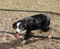 processed/36180fa9-48bf-43b5-bd6c-12d254bd4cc7/listing/9d3d7f86-9006-42d2-97da-738b453db81b/47585c5b-68a5-4fab-80e7-e816c6755cc6