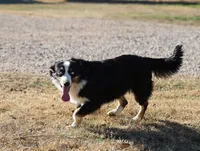 processed/36180fa9-48bf-43b5-bd6c-12d254bd4cc7/listing/9d3d7f86-9006-42d2-97da-738b453db81b/b9931189-d7d0-4bb8-ac99-cf74fd440cce