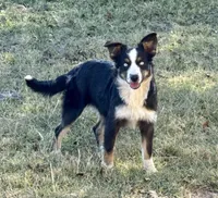 processed/36180fa9-48bf-43b5-bd6c-12d254bd4cc7/listing/9d3d7f86-9006-42d2-97da-738b453db81b/d49c047c-3b70-4806-b2c3-6e908f78d77d