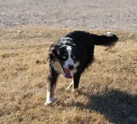 processed/36180fa9-48bf-43b5-bd6c-12d254bd4cc7/listing/9d3d7f86-9006-42d2-97da-738b453db81b/e0a5508b-79a0-475b-9bc3-2a82af21a520