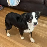 processed/36180fa9-48bf-43b5-bd6c-12d254bd4cc7/listing/9d3d7f86-9006-42d2-97da-738b453db81b/e5ea46ce-d2be-4ec2-812b-e878e69275de