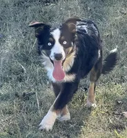 processed/36180fa9-48bf-43b5-bd6c-12d254bd4cc7/listing/9d3d7f86-9006-42d2-97da-738b453db81b/e6aea0af-b15c-47a0-ac66-7111d4626c22