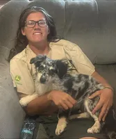 Blair - Blue Merle Male 1, a male Miniature Australian Shepherd and Miniature Bernedoodle for sale in Lawton, OK – 1 of 8