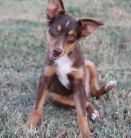 processed/36180fa9-48bf-43b5-bd6c-12d254bd4cc7/listing/c6d5f815-55be-4adc-9c77-0ff35f437b11/1ba5b697-21a2-49e4-9de7-d92e9faa3283