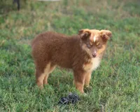 processed/36180fa9-48bf-43b5-bd6c-12d254bd4cc7/listing/c6d5f815-55be-4adc-9c77-0ff35f437b11/1ce377d5-6654-4d09-9ffe-8033b7376a88