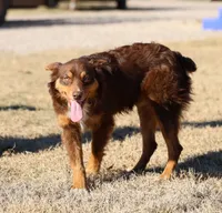 processed/36180fa9-48bf-43b5-bd6c-12d254bd4cc7/listing/c6d5f815-55be-4adc-9c77-0ff35f437b11/2be25491-a159-4fbc-aa1f-2b6f7491ea16