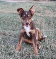 processed/36180fa9-48bf-43b5-bd6c-12d254bd4cc7/listing/c6d5f815-55be-4adc-9c77-0ff35f437b11/880cf09c-6ac9-4da0-9049-a3cebef4b920