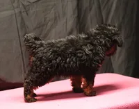 processed/36180fa9-48bf-43b5-bd6c-12d254bd4cc7/listing/dd860589-caa7-4620-9426-1447a4a7a69b/288a95b9-81b7-4892-ba36-5ff5467bc8f7