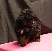 processed/36180fa9-48bf-43b5-bd6c-12d254bd4cc7/listing/dd860589-caa7-4620-9426-1447a4a7a69b/469c454d-ca4f-4bcc-bf03-f7e9f63138b0